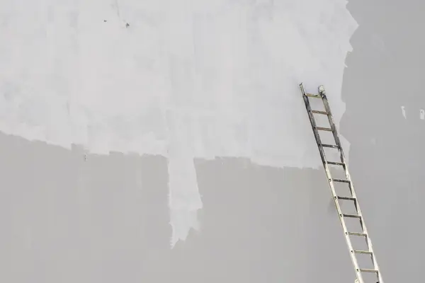 Exterior painting in Rochester: ladder against a freshly primed wall
